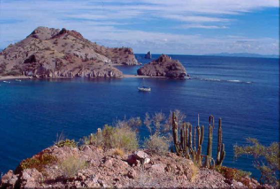 EMPLEO BAJA CALIFORNIA SUR empleo baja california sur: