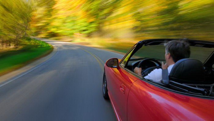 Harmony Park Safari Rental Cars Harmony Park Safari Rental Cars