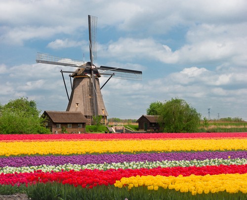 Cheap Flights & Plane Tickets To Holland